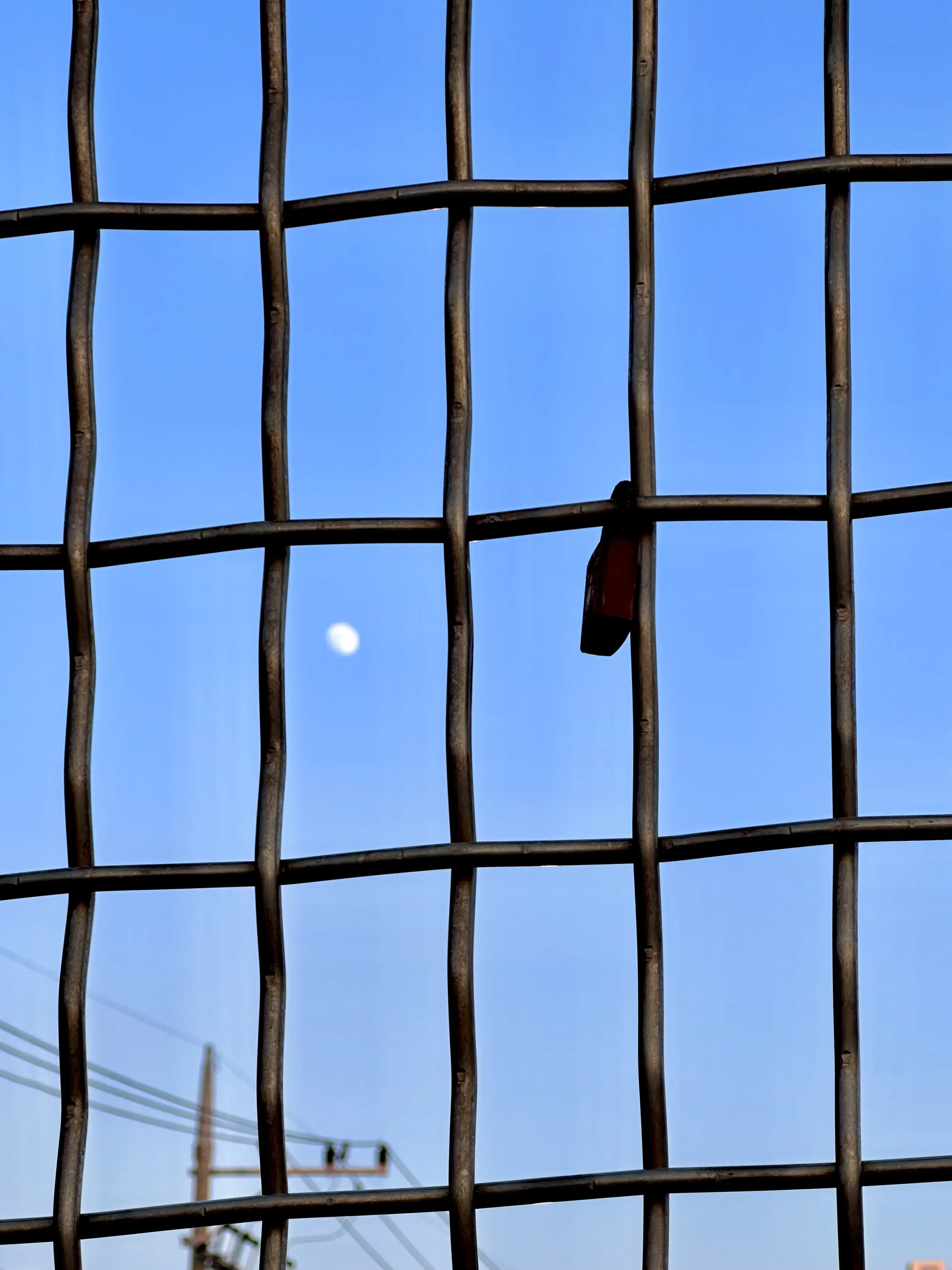 2023. 12. 24., 본가 앞.
