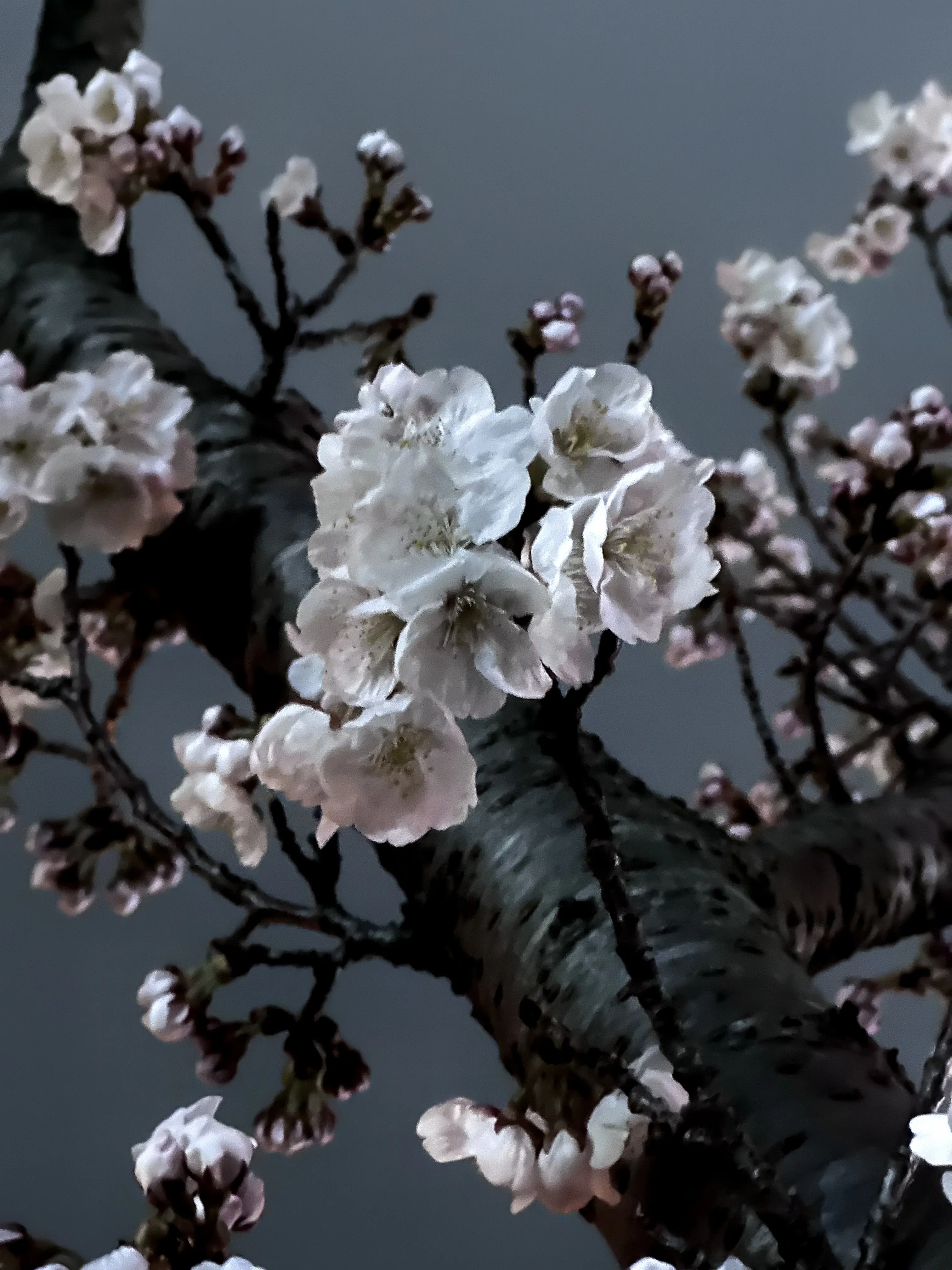 2024. 03. 22., 경북 포항시 남구 청암로.