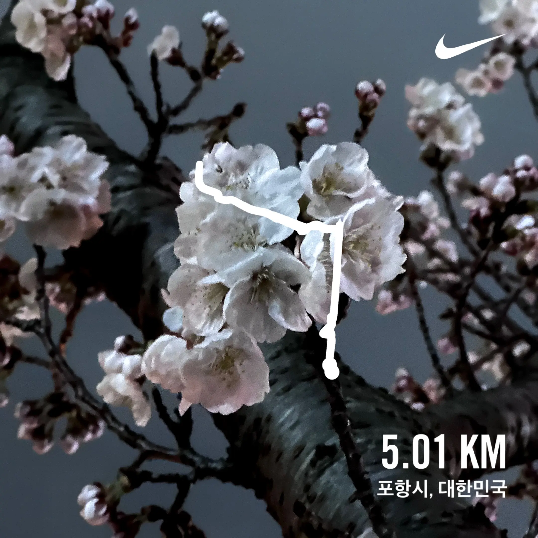 2024. 03. 22., 경북 포항시 남구 청암로 77.