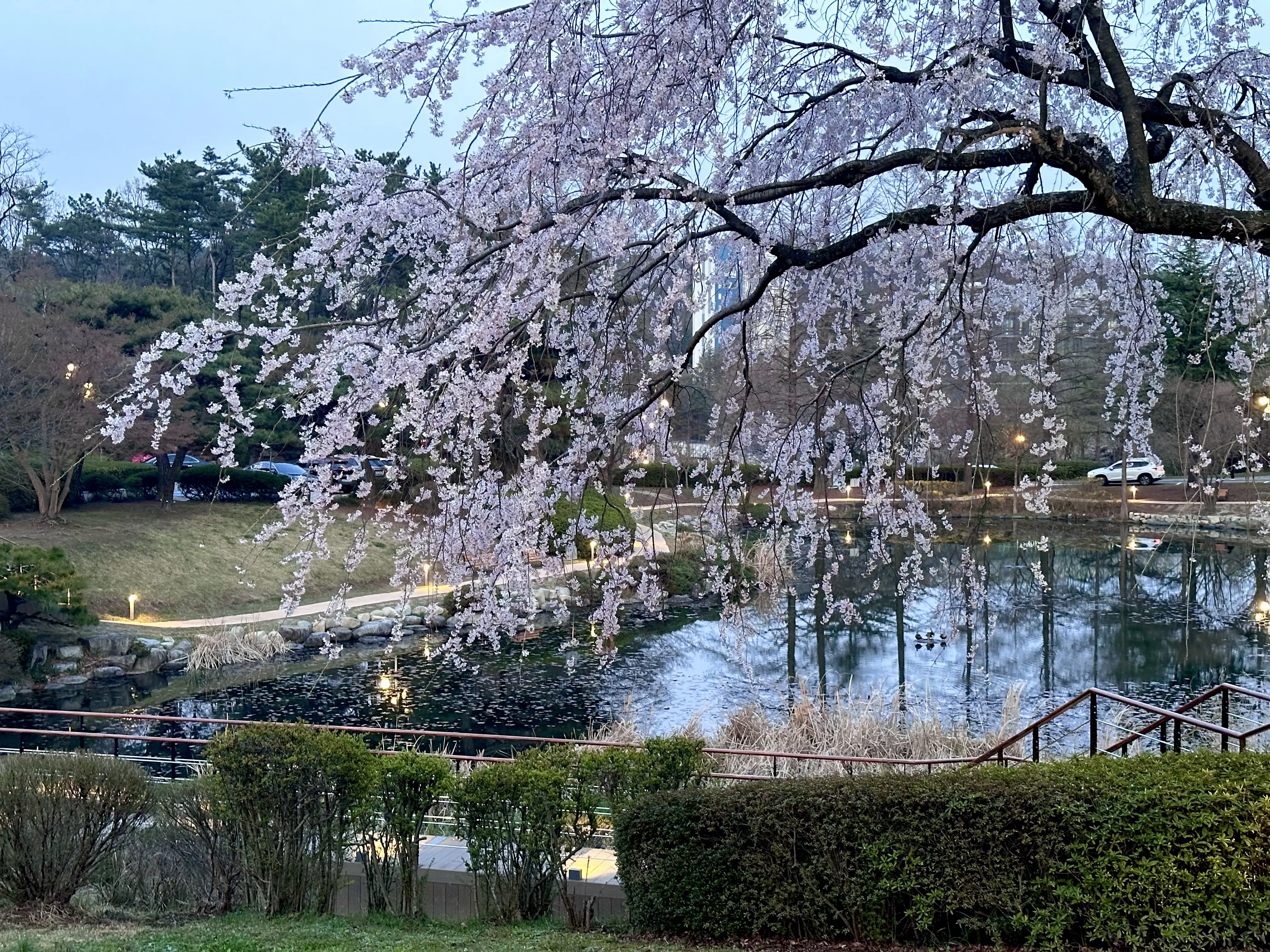 2024. 03. 30., 경북 포항시 남구 청암로 77.