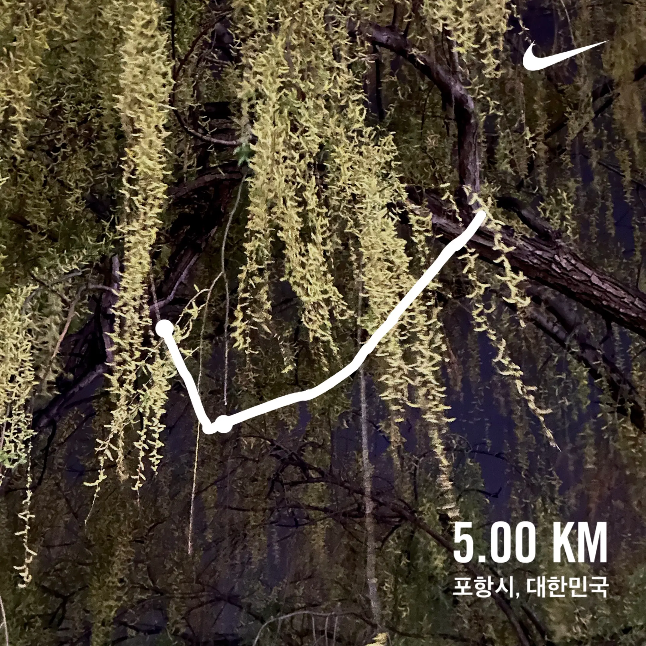 2024. 04. 02., 경북 포항시 남구 청암로.
