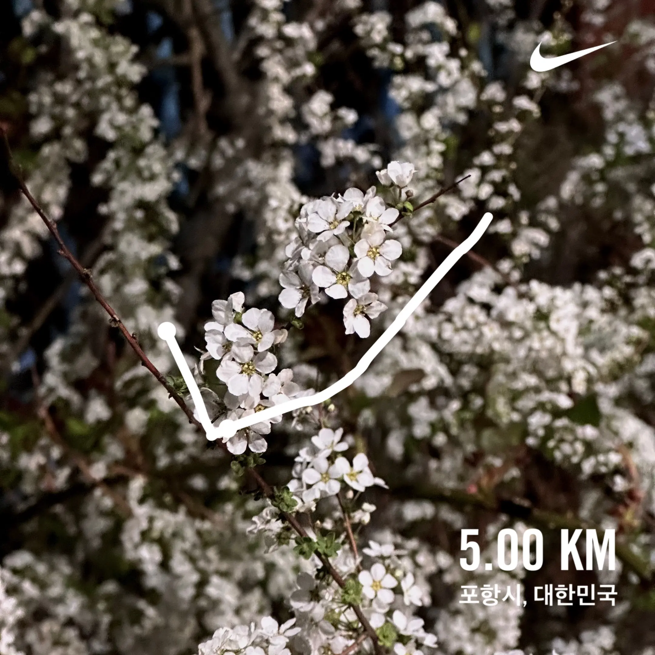 2024. 04. 04., 경북 포항시 남구 청암로.
