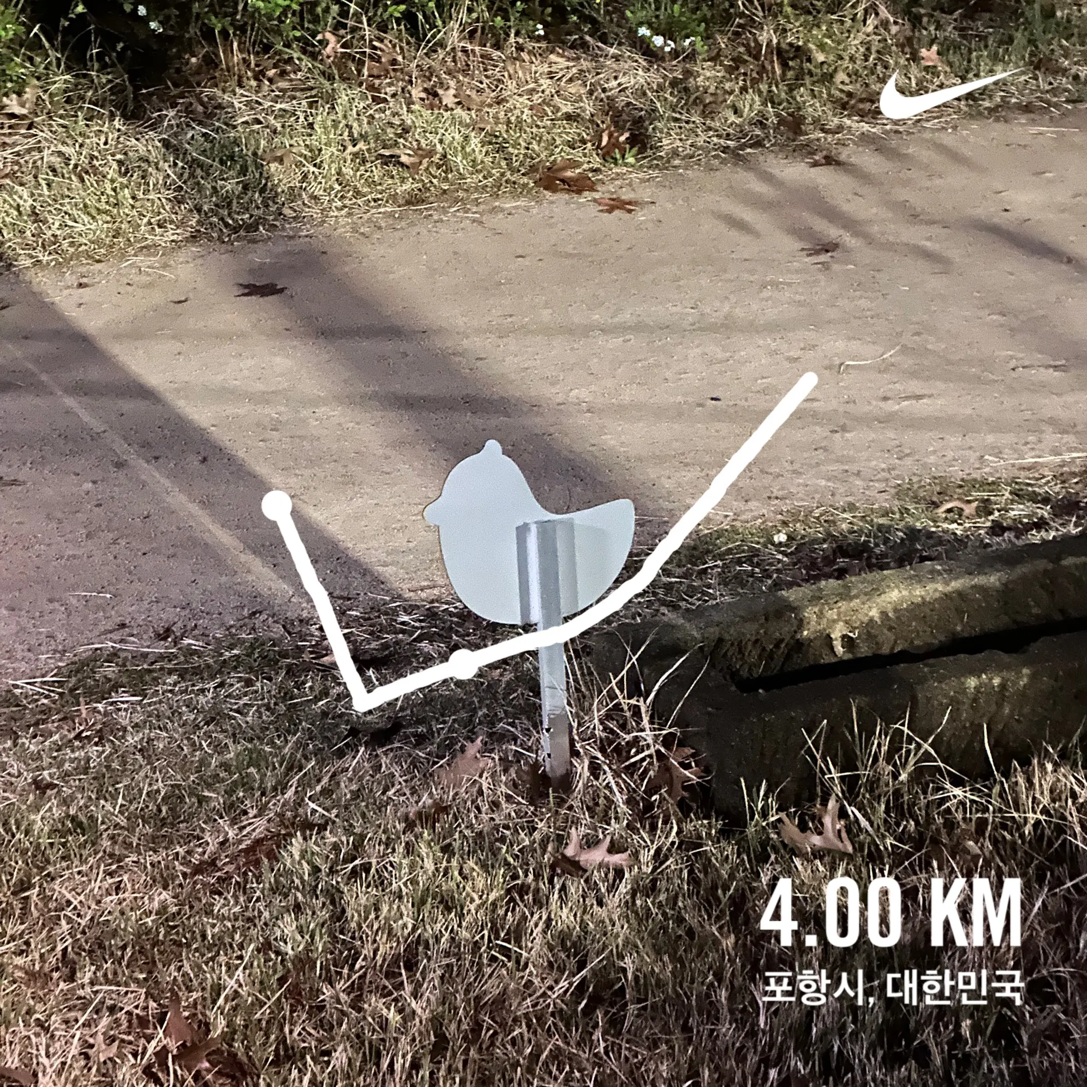 2024. 04. 06., 경북 포항시 남구.