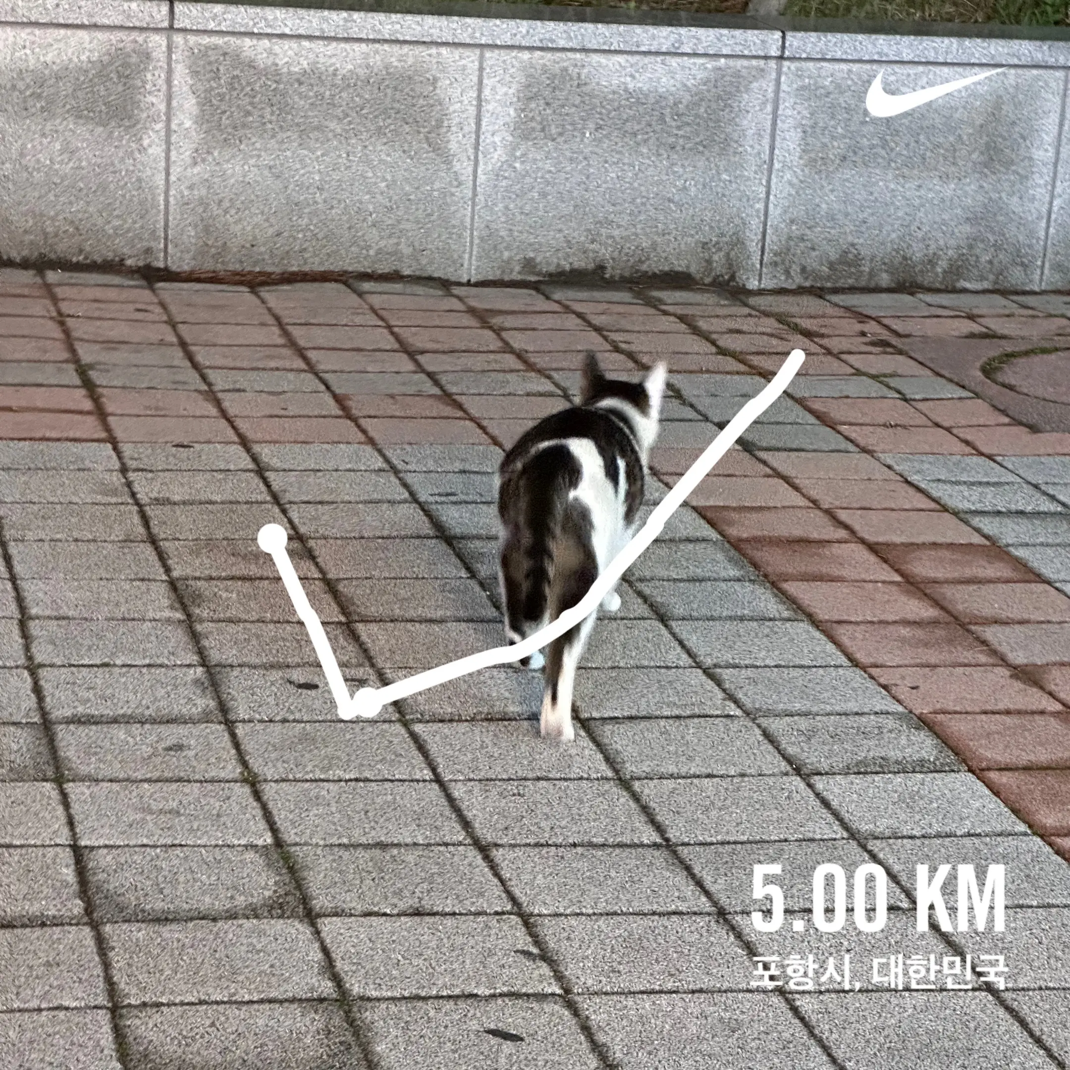 2024. 04. 25., 경북 포항시 남구 청암로 77.