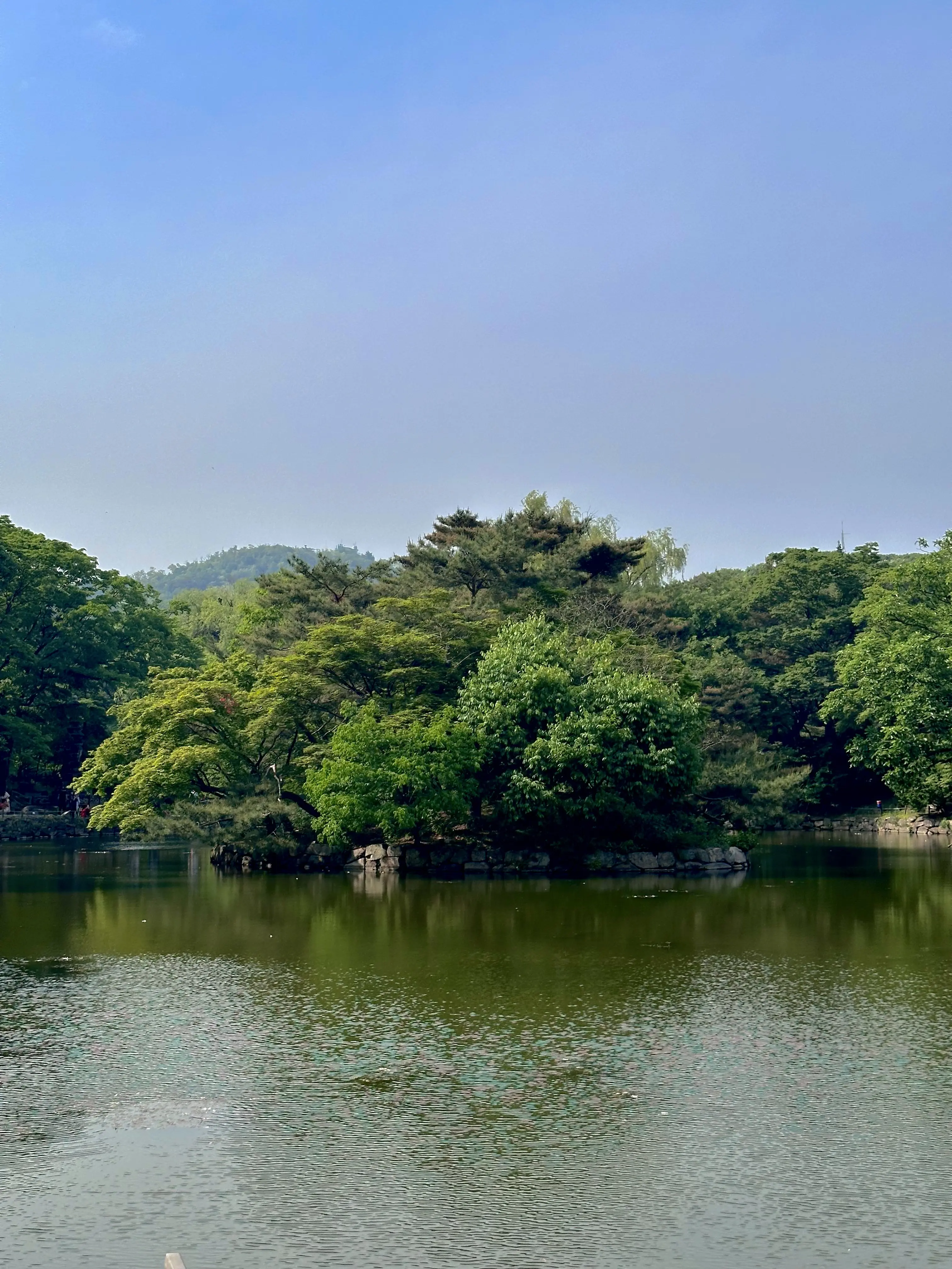 2024. 05. 04., 서울 종로구 창경궁로 185.