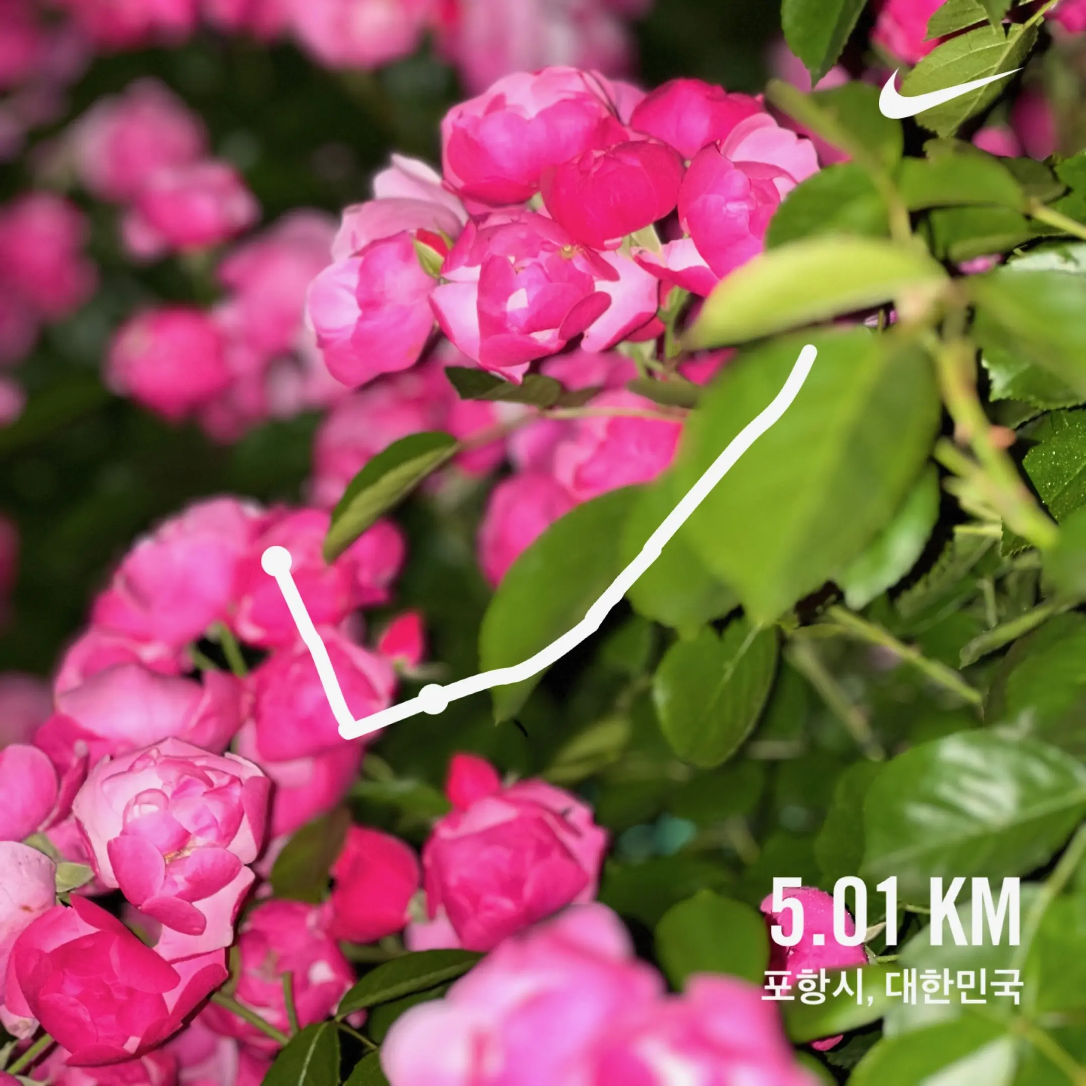 2024. 05. 20., 경북 포항시 남구 청암로 77.
