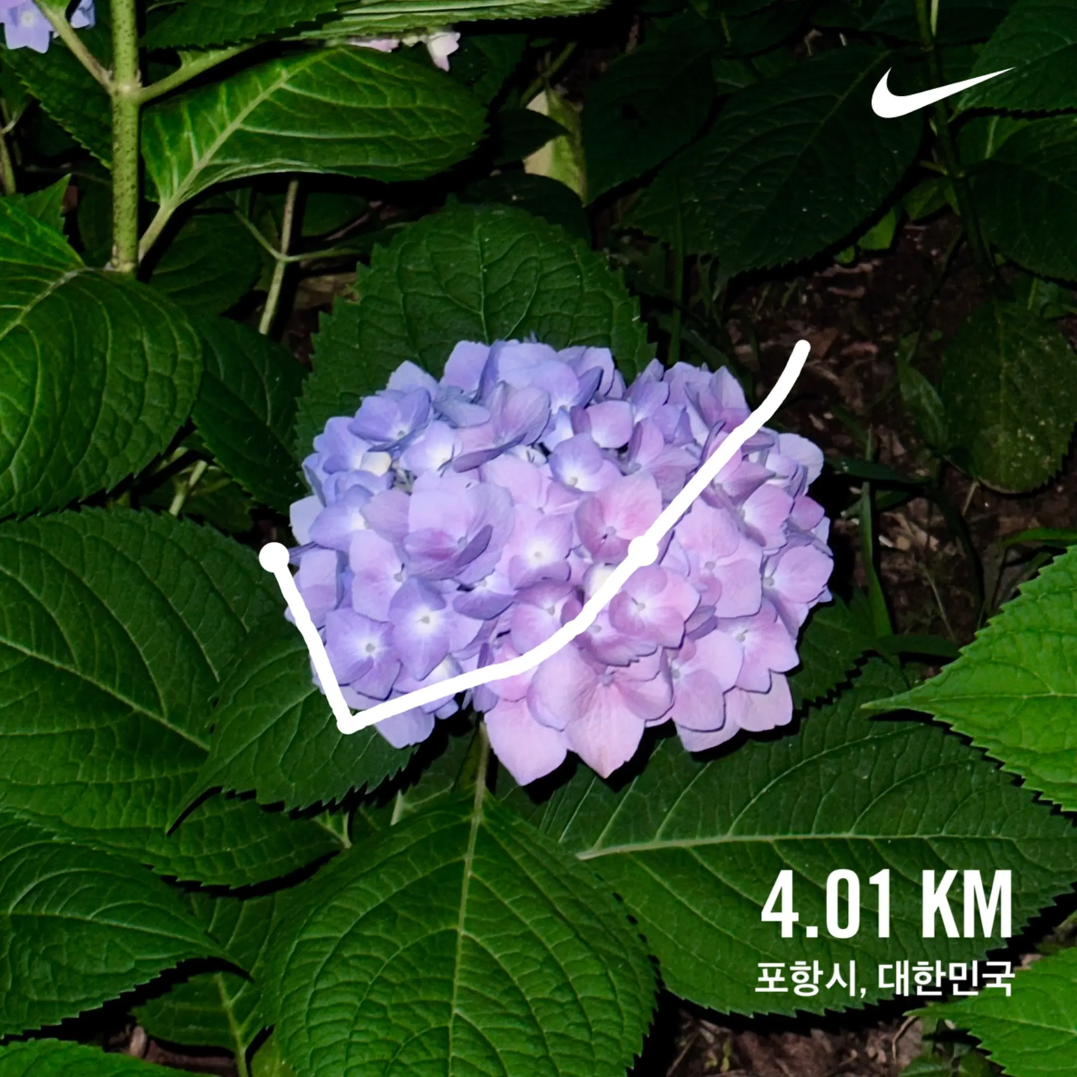 2024. 06. 02., 경북 포항시 남구 청암로.
